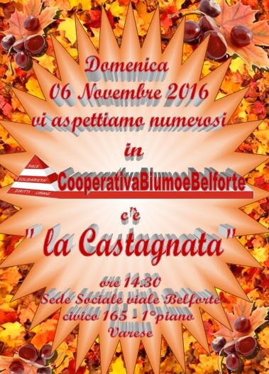 Castagnata sociale caldarroste in coopebelforte